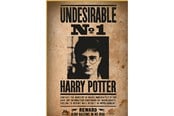 Puslespill - Thumbs Up! Harry Potter "Wanted No. 1" Puzzle - 8435450255397