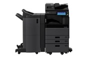 Printertilbehør blekk/toner - Toshiba T-3008E - black - original - toner cartridge - totot30080