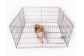 Hund - Active Canis Valpevalpegård og hundeinnhegning 122x122x61cm - T6845