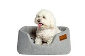 Hund - Danish Design Colour Block Silver Lux Slumber seng stor - d01922