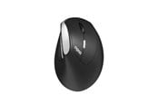 Mus - RAPOO EV250 - Ergonomisk mus - Optical / gyroscopic - 6 - Svart - 13531