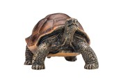Leketøy - Mojo Wildlife Giant Tortoise - 387259