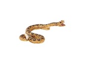 Leketøy - Mojo Wildlife Rattlesnake - 387268