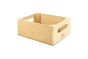 Treleker - Bigjigs Wooden Box - BJF097
