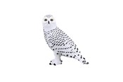 Leketøy - Mojo Wildlife Snowy Owl - 387201