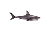Leketøy - Mojo Sealife Great White Shark - 381012