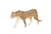 Leketøy - Mojo Wildlife Cheetah Male - 387197 - 387197