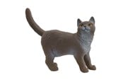 Schleich - Schleich Britisk korthår Katt - 13973