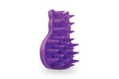 Katt - KONG - Kong Cat ZoomGroom EU - (CZGE) - KONGCZGE