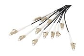 Nettverkskabel - DIGITUS breakout cable - 30 m - black - Svart - 30m - DK-2433CU050BK-BBB