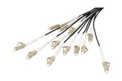 Nettverkskabel - DIGITUS breakout cable - 100 m - black - Svart - 100m - DK-2433CU100BK-BBB