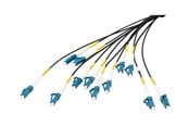 Nettverkskabel - DIGITUS breakout cable - 75 m - black - Svart - 75m - DK-2A33CU075BK-BBB