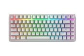 Tastatur - Dell Alienware Pro Wireless Gaming Keyboard - keyboard - QWERTY - US - lunar light - Gamingtastatur - Engelsk (USA) - Hvit - PRO-KB-W-WW