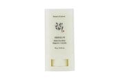 Ansiktspleie - Beauty of Joseon - Matte Sun Stick Mugwort + Camelia SPF 50+ PA++++ - 8809864766884