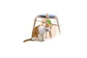 Katt - AFP All For Paws - Groomer 2 In 1 20.3X11X2.2Cm - (781.1025) - 781.1025