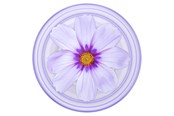 Mobil - Andre tilbehør - PopSockets PopGrip Plant Purple Cosmo - 806846