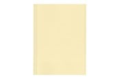 Arkivering & Oppbevaring - Esselte - file folder - for A4 - yellow (pack of 100) - 44102