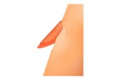 Arkivering & Oppbevaring - Leitz Klemmappe ColorClip Rainbow PP A4 Oransje - 41760045