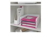 Arkivering & Oppbevaring - Leitz Brevkurv WOW Dual Rosa - 53611023