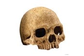 Fisk - EXO TERRA Skull Large 17 x 13.5 x 11.5 cm. - HPT2855