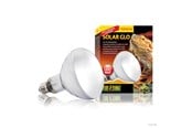 Oppvarming/Lys - EXO TERRA Solar Glo Wide Beam 125W Sun Simulating Bulb - PT2192