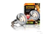 Oppvarming/Lys - EXO TERRA Intense Basking Spot 150W - HPT2140
