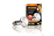 Oppvarming/Lys - EXO TERRA Intense Basking Spot 75W - HPT2136