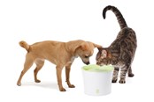 Katt - Catit Design White/Lime Drinking fountain 3L - H55600