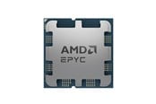 Prosessor/CPU - AMD EPYC 4244P - Tray Prosessor/CPU - 6 kjerner - 3.8 GHz - AMD AM5 - Bulk (uten vifte) - 100-000001480