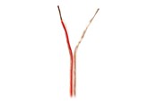 Lydkabel - Nedis bulk speaker cable - 100 m - CABR1500TR1000