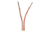 Lydkabel - Nedis bulk speaker cable - 25 m - CABR4000TR250