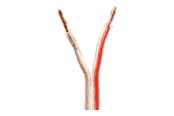 Lydkabel - Nedis bulk speaker cable - 15 m - CAGW4000TR150
