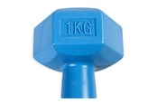 Sport & Fitness - ASG Handweight 1 kg vinyl - ASG4301IONE SIZE