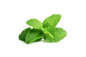 Smarthus - Click & Grow Click and Grow - Smart Garden Refill 3-pack - Peppermint (SGR22X3) - SGR22X3