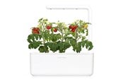 Dekorasjon - Click & Grow - Smart Garden 3 Start kit (Color: White) (SGS1UNI) - SGS1UNI