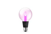 Smarthus - Philips Hue Lightguide G95 - E27 lyspærer - 929003151101