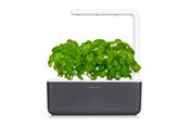 Dekorasjon - Click & Grow - Smart Garden 3 Startkit - dark grey (SGS8UNI) - SGS8UNI
