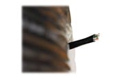 Nettverkskabel - DIGITUS Professional bulk cable - 305 m - black - Svart - 305m - DK-TP512