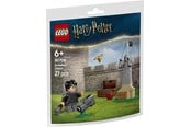 LEGO® - LEGO Harry Potter 30706 Opplæring i rumpeldunk - 30706