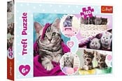 Puslespill - Trefl Puzzle - Lovely kittens (160 pieces) Gulv - TFL15371