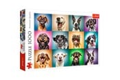 Puslespill - Trefl Puzzle - Funny dog portraits (1000 pieces) 2D Puslespill - TFL10462