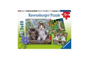 Puslespill - Ravensburger Jigsaw puzzle Young Kittens 3x49pcs. Gulv - 080465