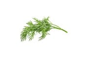 Smarthus - Click & Grow Click and Grow Smart Garden Refill 3-pack - Dill - SGR49X3