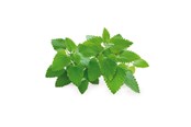 Smarthus - Click & Grow Click and Grow Smart Garden Refill 3-pack - Catnip - SGR29X3