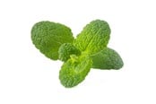 Smarthus - Click & Grow Click and Grow Smart Garden Refill 3-pack - Apple Mint - SGR79X3