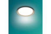 Lamper - Philips Pebblo UE Ceiling SS B 10W 27K - 929004116801