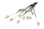 Nettverkskabel - DIGITUS breakout cable - 30 m - black - Svart - 30m - DK-2433CU030BK-BBB