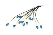 Nettverkskabel - DIGITUS breakout cable - 30 m - black - Svart - 30m - DK-2A33CU030BK-BBB