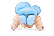 Reklameartikler - Numskull - Destiny: Screeb Hatchling - Bamser & kosedyr - NS4269