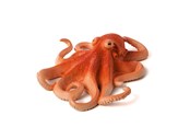Figurer - Mojo - Sealife Octopus - 387275